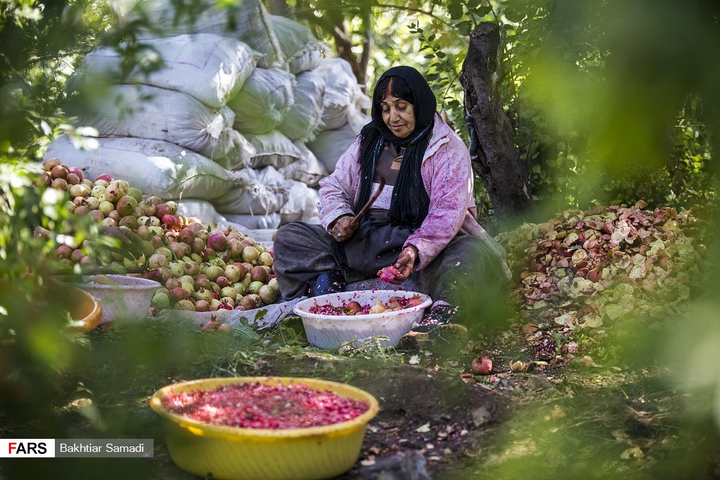 هورامان ثبت جهانی شد + تصویر 18