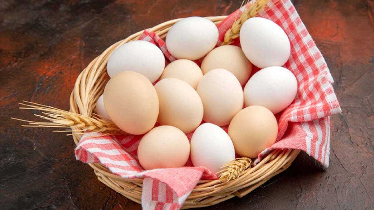 تخم مرغ و لاغری شکم