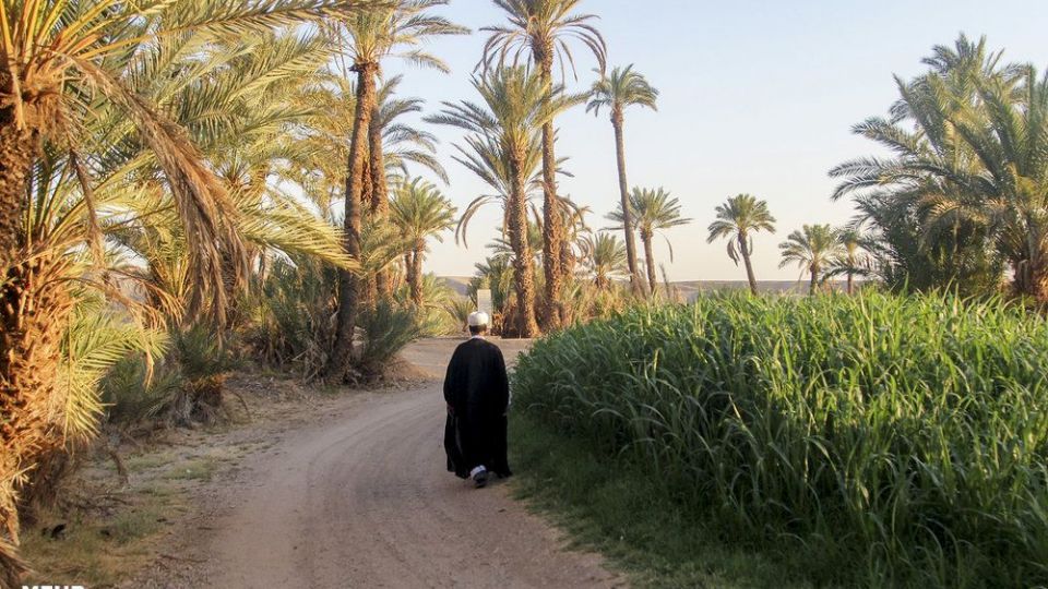 امرار معاش روحانی کشاورز در کنار تبلیغ