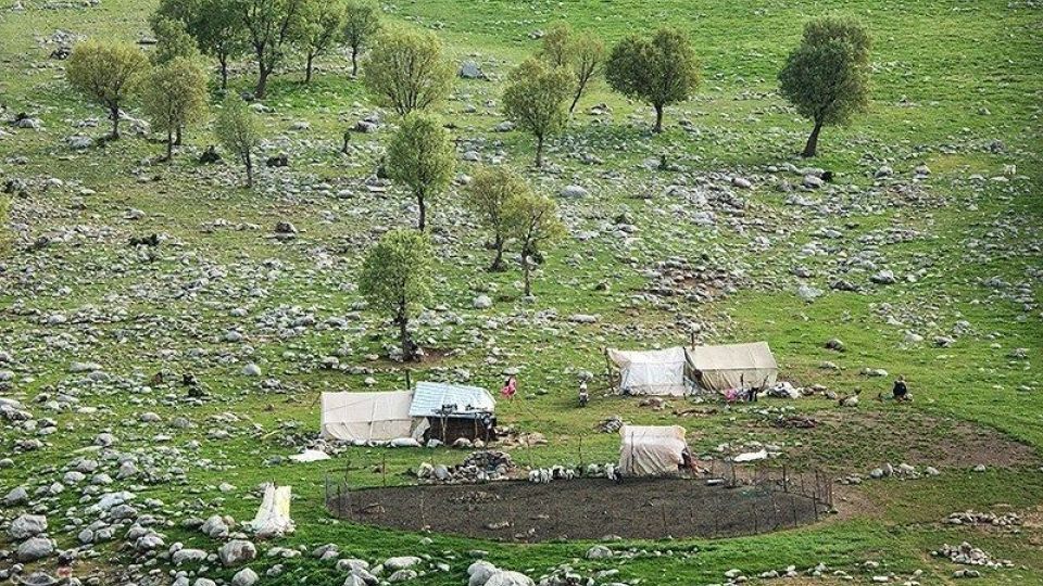 دشت گهواره در منطقه بسطام لرستان