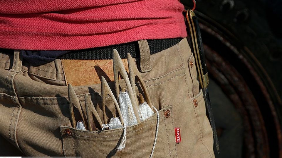 چينيك و چينيك چي چينيك و چينيك چي