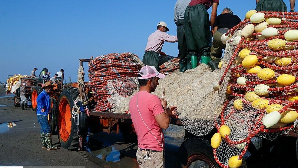 چينيك و چينيك چي چينيك و چينيك چي