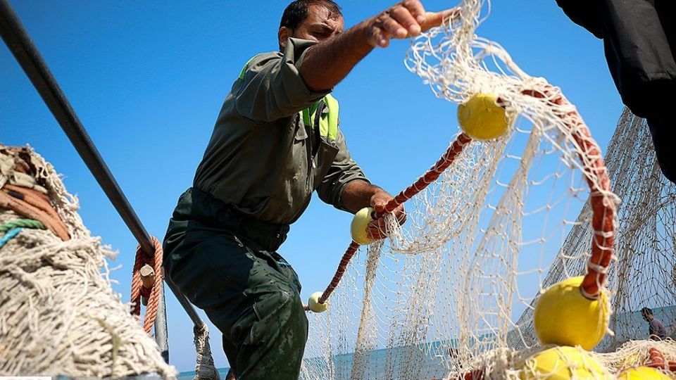 چينيك و چينيك چي چينيك و چينيك چي