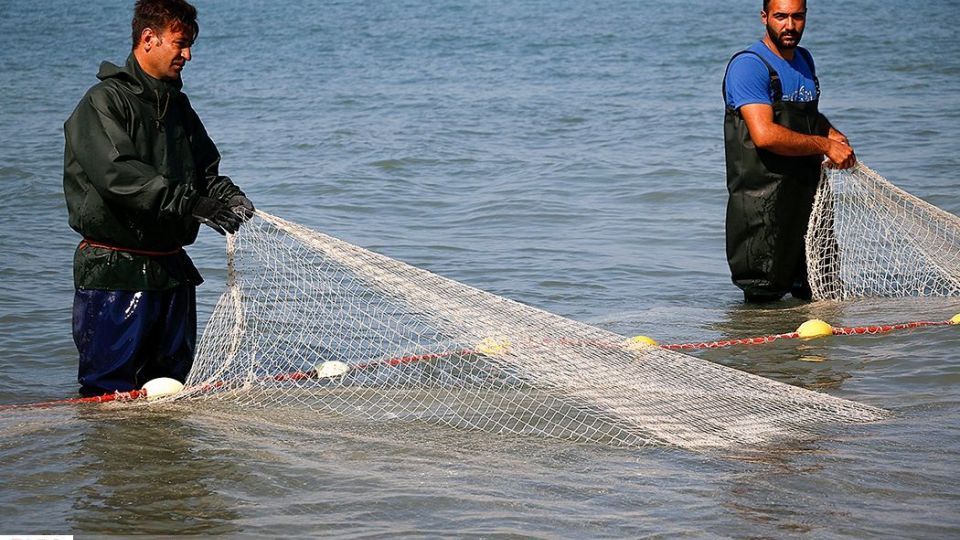 چينيك و چينيك چي چينيك و چينيك چي