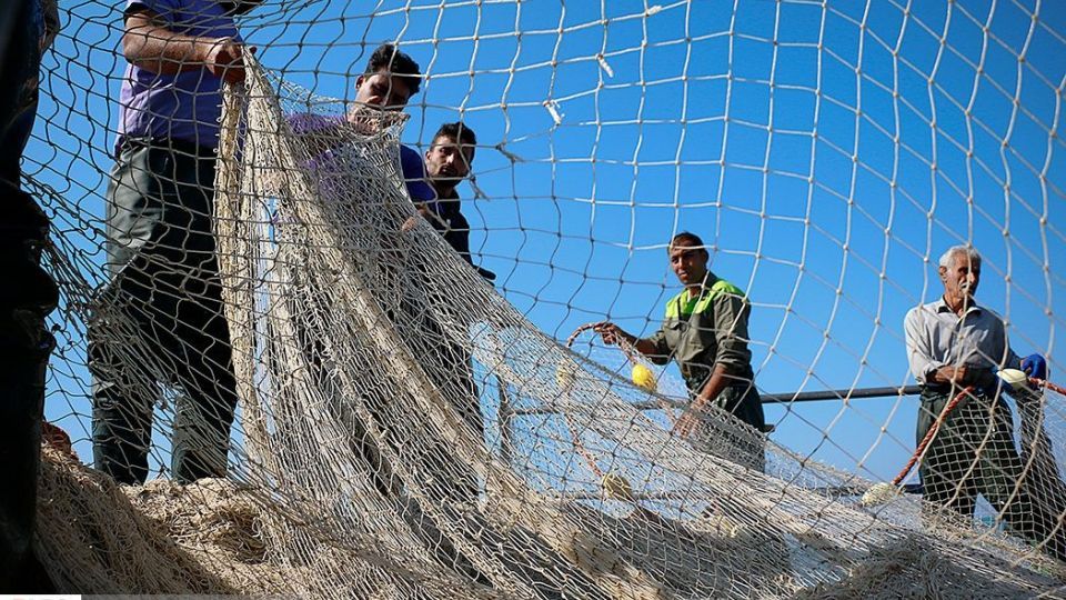 چينيك و چينيك چي چينيك و چينيك چي