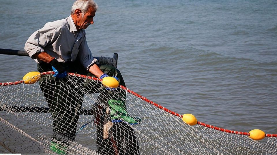 چينيك و چينيك چي چينيك و چينيك چي