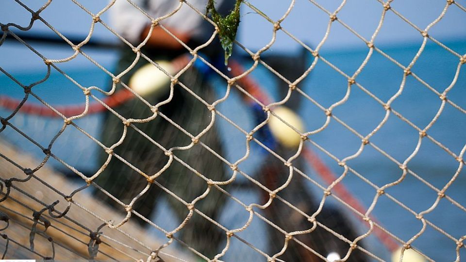 چينيك و چينيك چي چينيك و چينيك چي