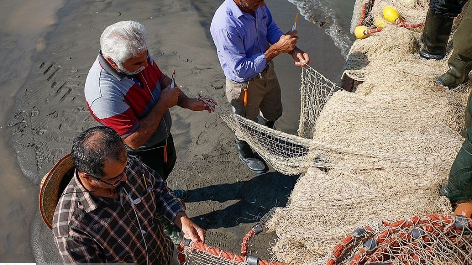 چينيك و چينيك چي چينيك و چينيك چي