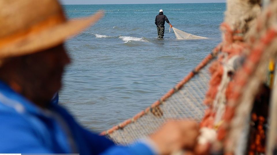 چينيك و چينيك چي چينيك و چينيك چي