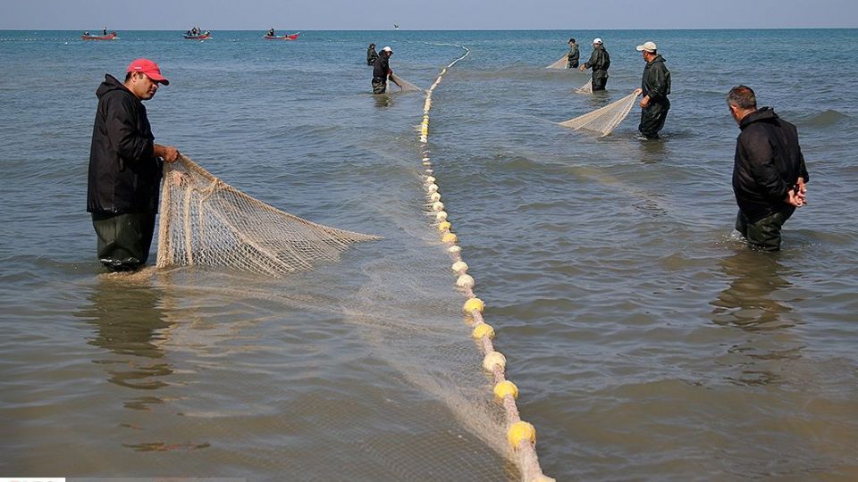 چينيك و چينيك چي چينيك و چينيك چي