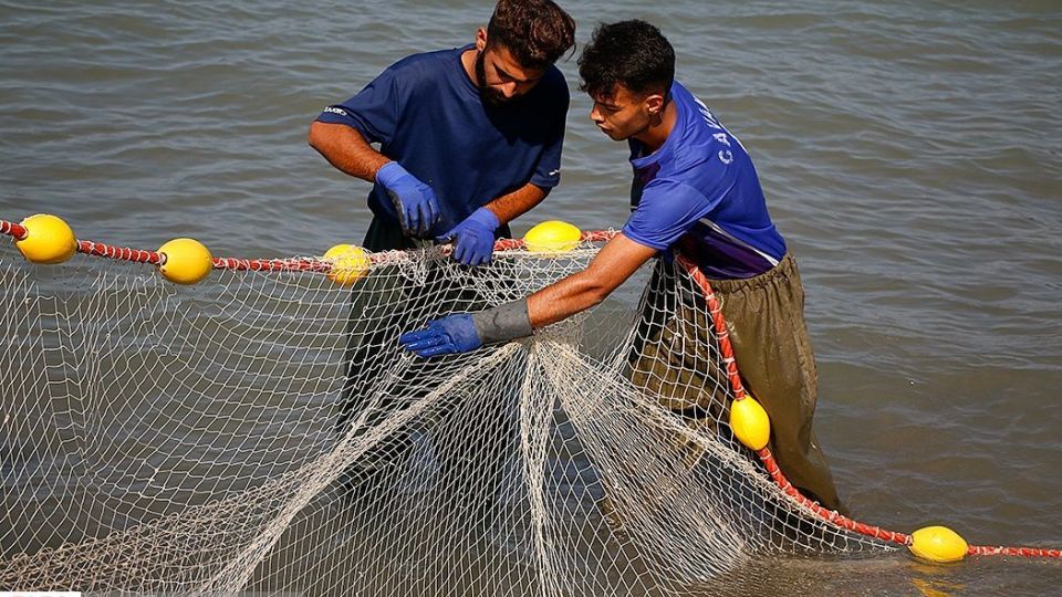 چينيك و چينيك چي چينيك و چينيك چي