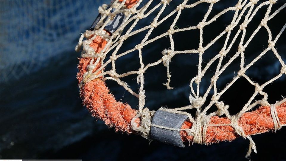 چينيك و چينيك چي چينيك و چينيك چي