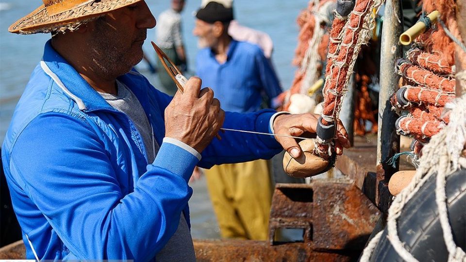 چينيك و چينيك چي چينيك و چينيك چي