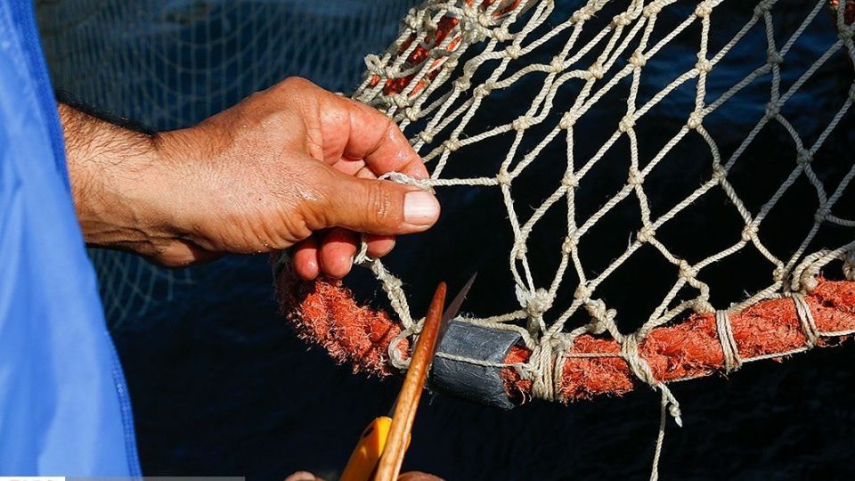 چينيك و چينيك چي چينيك و چينيك چي