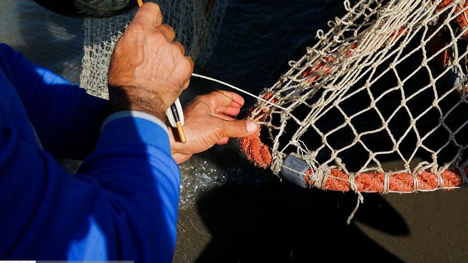 چينيك و چينيك چي چينيك و چينيك چي