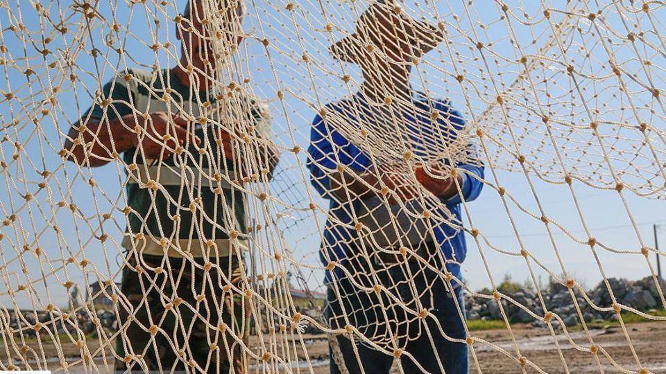 چينيك و چينيك چي چينيك و چينيك چي