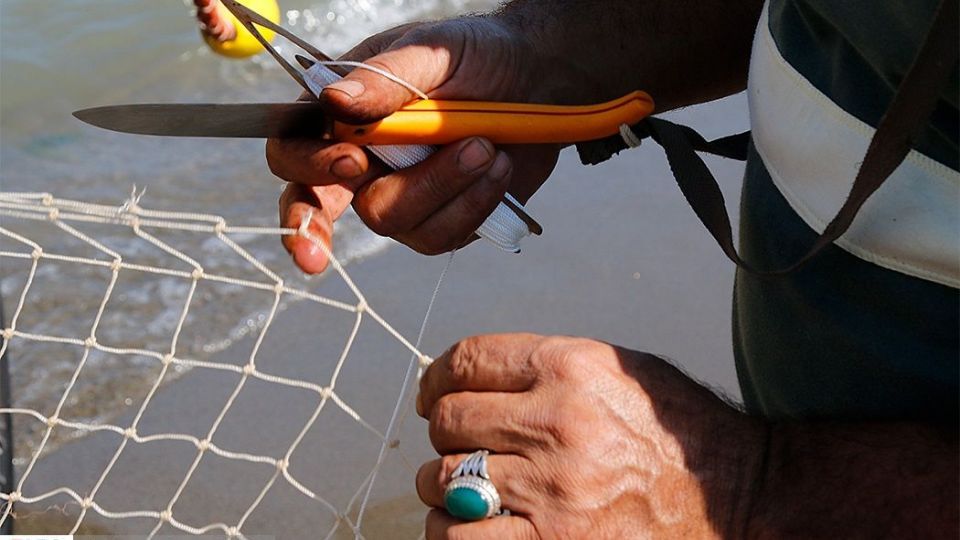 چينيك و چينيك چي چينيك و چينيك چي