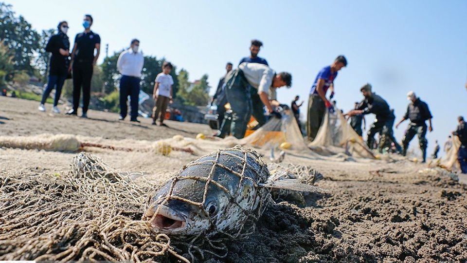 چينيك و چينيك چي چينيك و چينيك چي