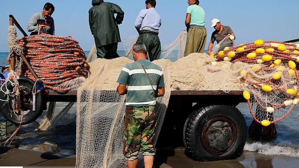 چينيك و چينيك چي چينيك و چينيك چي