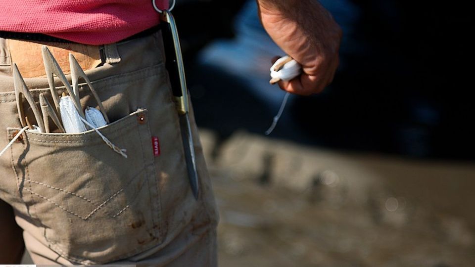 چينيك و چينيك چي چينيك و چينيك چي