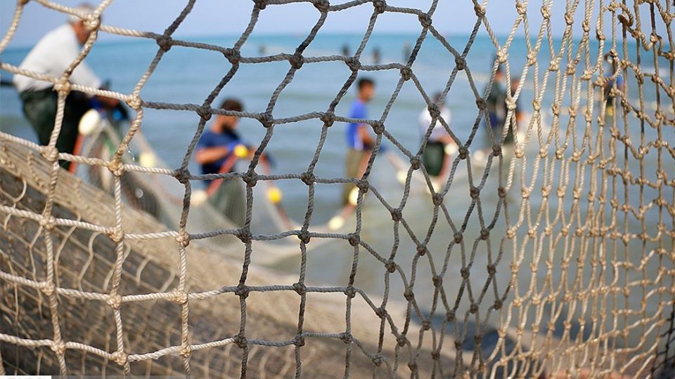 چينيك و چينيك چي چينيك و چينيك چي