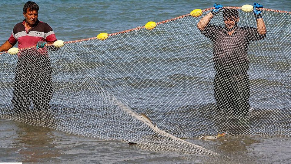 چينيك و چينيك چي چينيك و چينيك چي