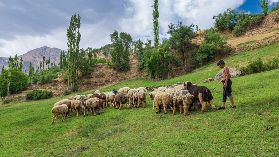  زمانی برای تفریح