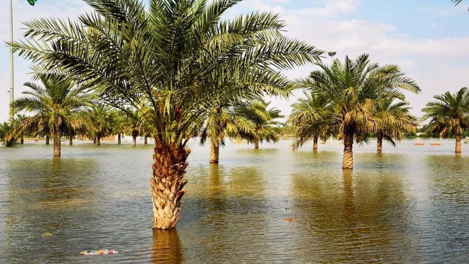 جبران خسارت کشاورزان در مناطق سیل‌زده