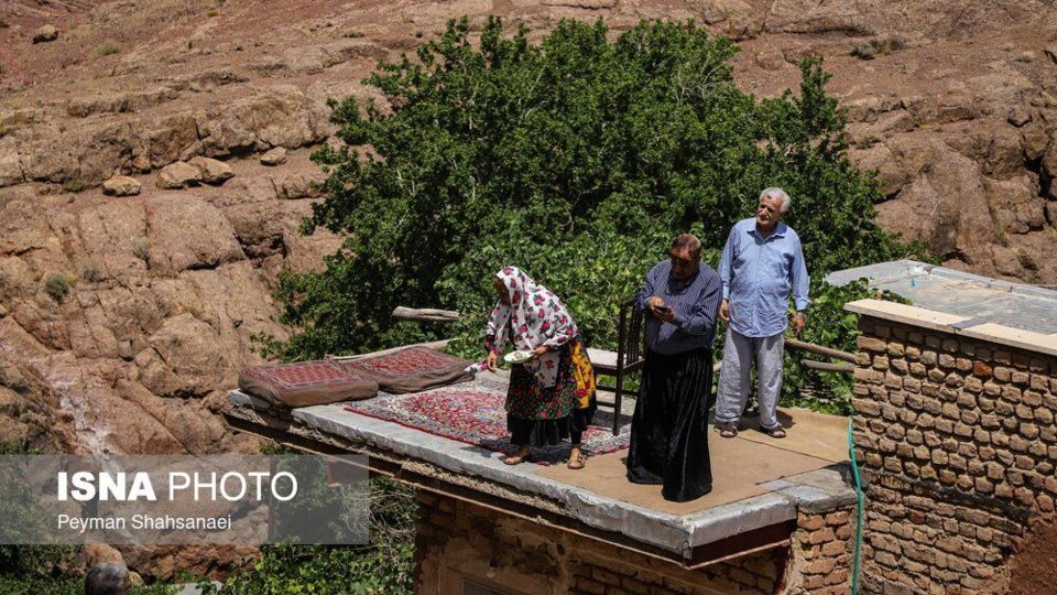 نخل‌گردانی روز عاشورا در روستای ابیانه