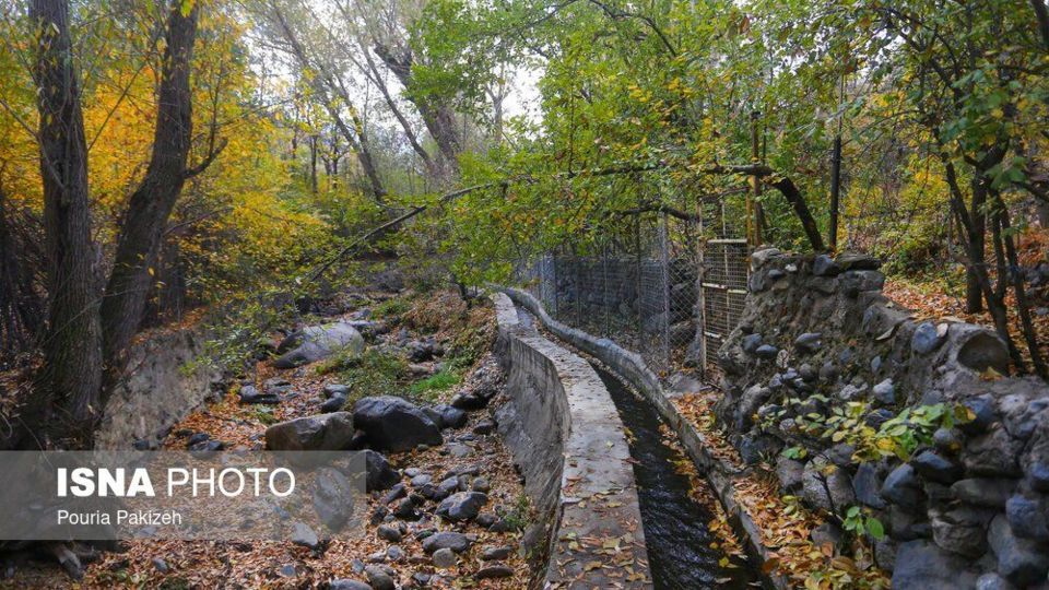 خزان در کوچه باغ‌های همدان