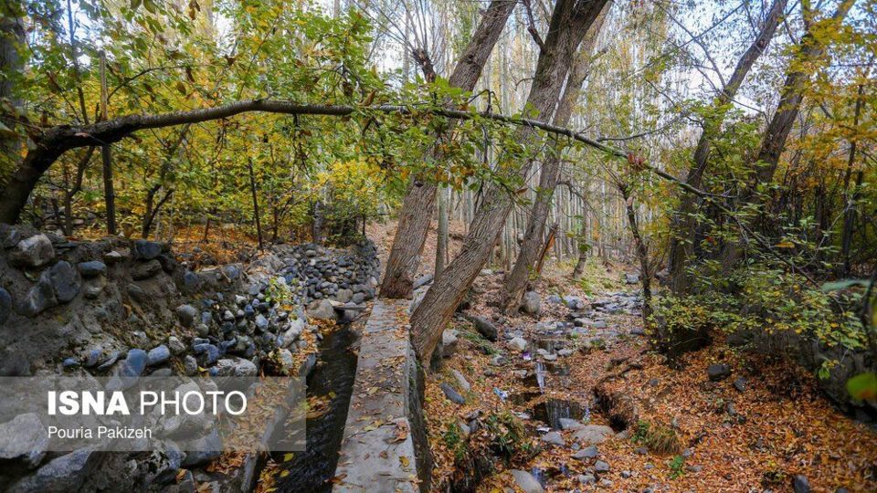 خزان در کوچه باغ‌های همدان