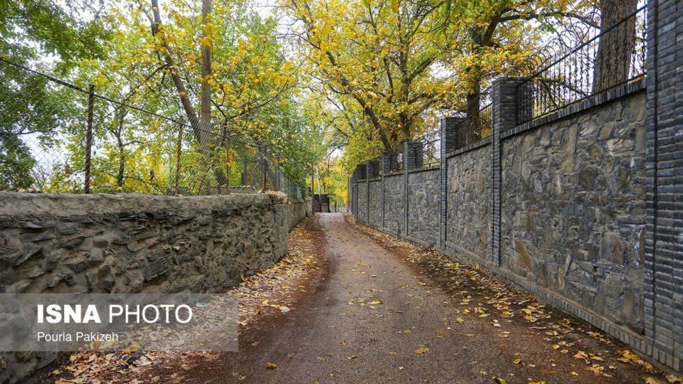 خزان در کوچه باغ‌های همدان