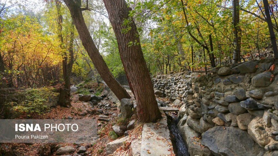 خزان در کوچه باغ‌های همدان