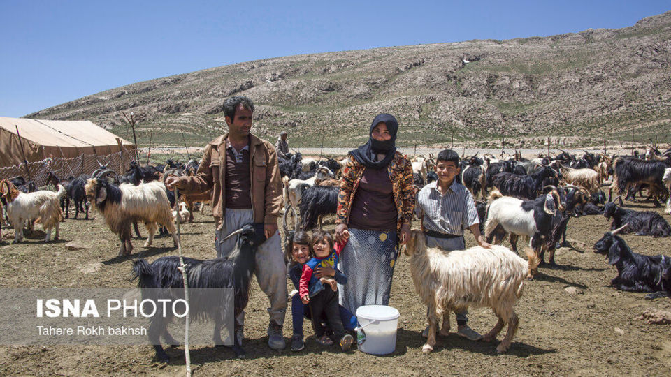 خانواده عشایری