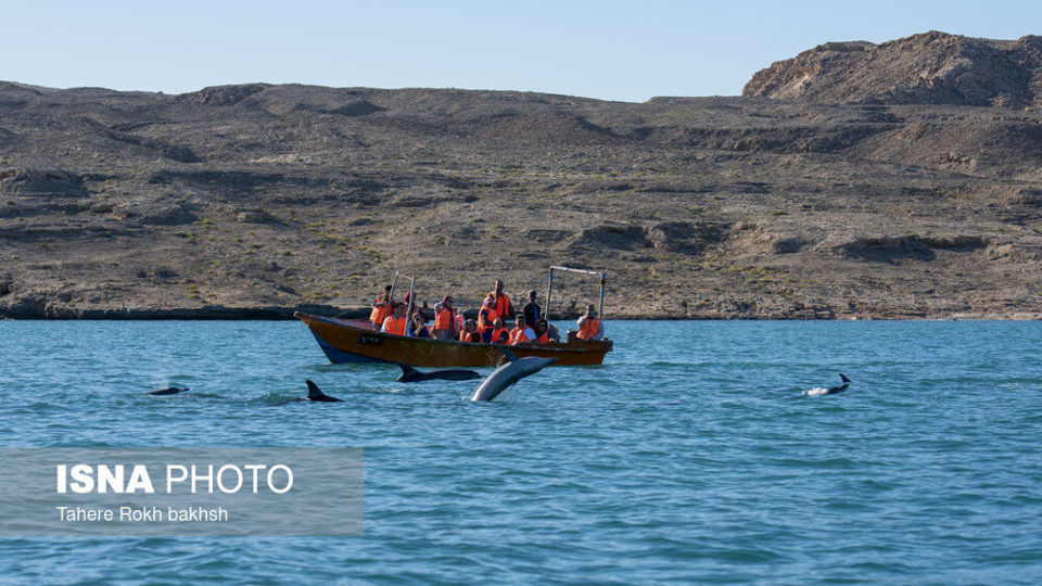 جزیره هنگام - استان هرمزگان جزیره هنگام - استان هرمزگان