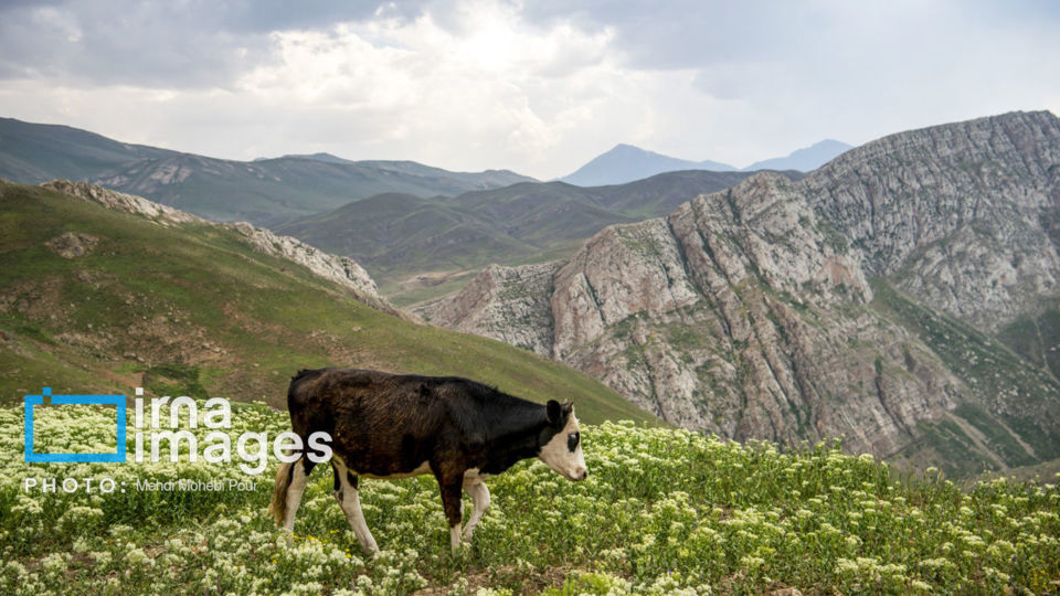 ییلاق در کوهستان