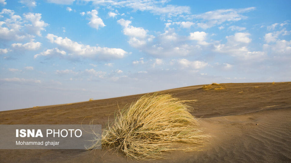 کویر بشرویه