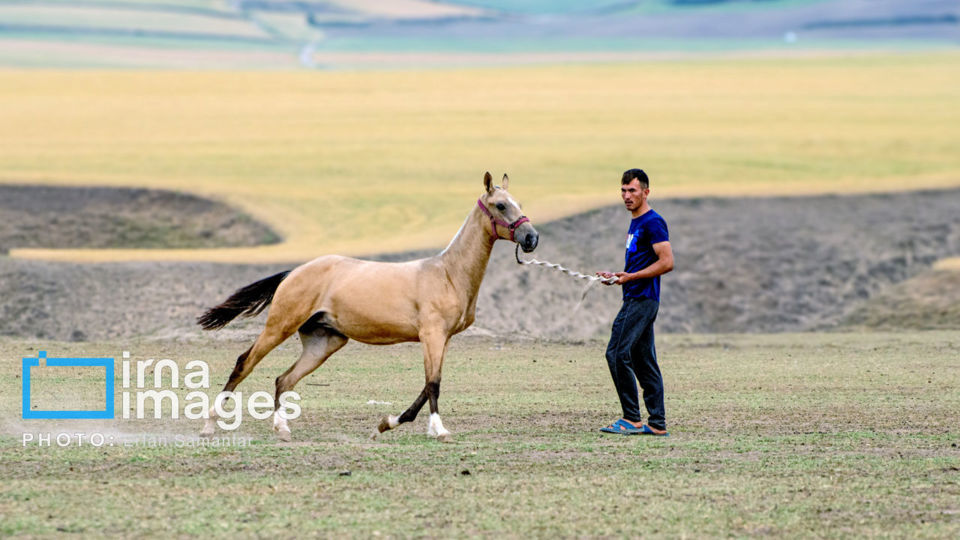 زندگی روستایی