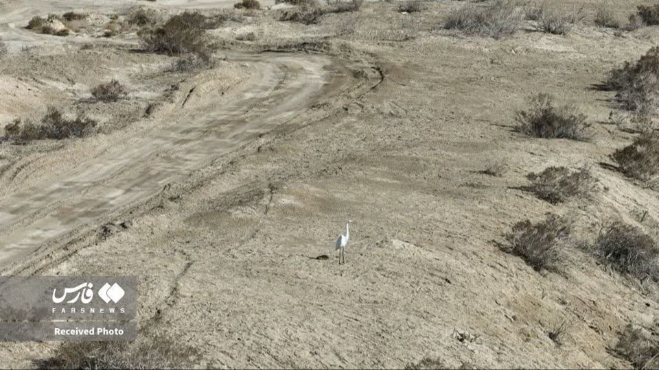 پرندگان مسیر رودخانه زاینده‌رود تا تالاب گاوخونی