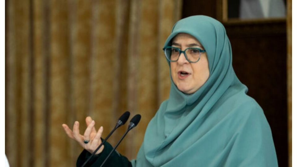 ادعای سخنگوی دولت درباره پروژه ایران هراسی افسانه ای ادعای سخنگوی دولت درباره پروژه ایران هراسی افسانه ای