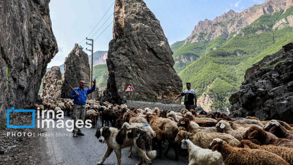 جاده چالوس بطور موقت مسدود می شود جاده چالوس بطور موقت مسدود می شود