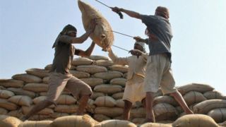 واردات ۱۳۴ میلیون دلار برنج هندی در ۲ ماه