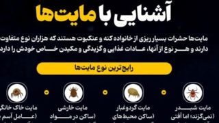 آشنایی با مایت‌ها