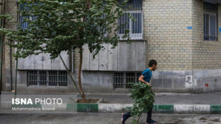 وزش باد شدید و خیزش گرد و خاک در نقاط مختلف کشور 