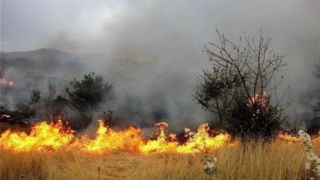۱۱۸۵ هکتار از مزارع لرستان در آتش سوخت