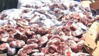 گوشت‌های فاسد از مغولستان به تهران / بوی تعفن ۷۰ تن گوشت و ضرر ۲۱ میلیاردی/ جزئیات اقدام پلیس  