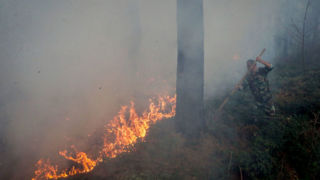 آتش‌سوزی همزمان در ۳منطقۀ کوهدشت/ حریق مهار شد 