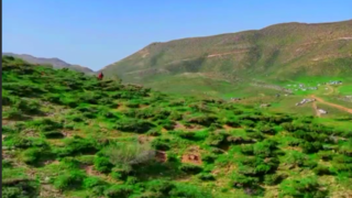  دشت وزینه شهرستان میرآباد آذربایجان غربی