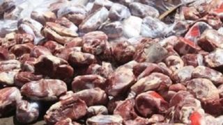 کشف ۷۰ تن گوشت وارداتی فاسد در شهر ری