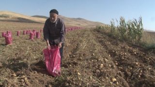 کمک ۲ میلیاردی کشاورز همدانی به مردم مظلوم لبنان